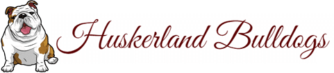 huskerland bulldogs logo” class=